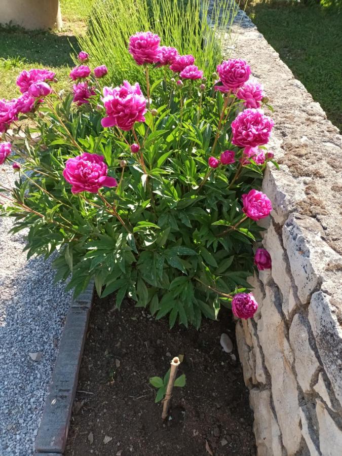 Guesthouse Marija Potpićan Екстериор снимка